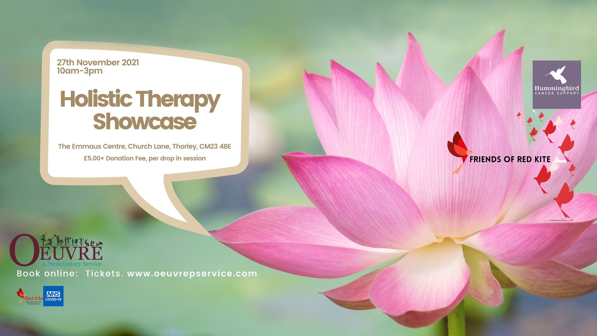 Holistic Therapy Showcase